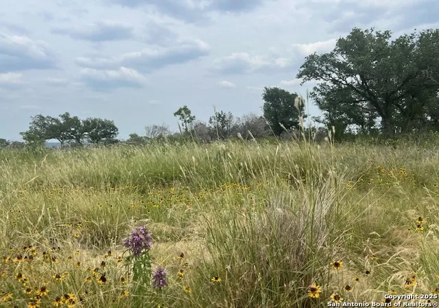 Photo 2 of Land for sale at 195 Crescent Ridge, Hondo, TX 78861 | MLS# 1871937 | Listing updated on 2025-06-13
