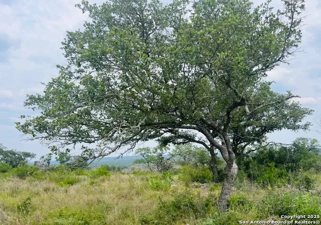 Photo 3 of Land for sale at 195 Crescent Ridge, Hondo, TX 78861 | MLS# 1871937 | Listing updated on 2025-06-13