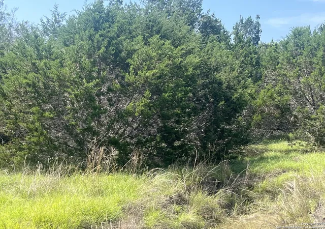 Photo 3 of Sale Pending at 1809 Desiree, Canyon Lake, TX 78133 | MLS# 1872115 | Listing updated on 2026-01-27