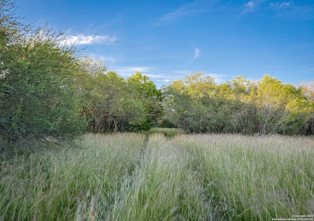 Photo 3 of Land for sale at 6266 Hwy 281, Three Rivers, TX 78071 | MLS# 1872287 | Listing updated on 2026-06-07