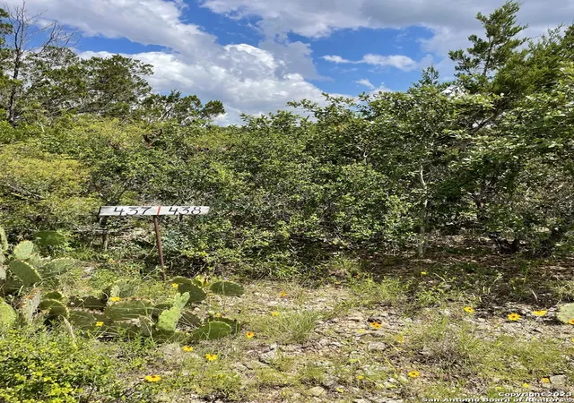 Photo 4 of Land for sale at Lot 438 County Rd 2763, Mico, TX 78056 | MLS# 1872338 | Listing updated on 2026-07-20