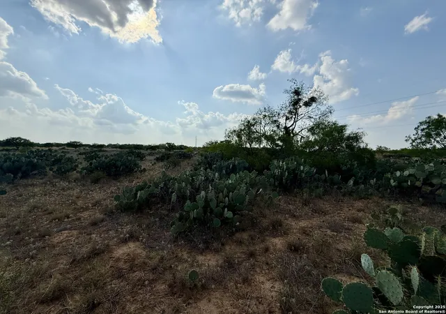 Photo 2 of Land for sale at Tbd E Cr 1647, Moore, TX 78057 | MLS# 1872670 | Listing updated on 2025-09-17