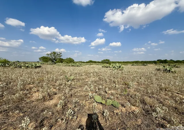 Photo 3 of Land for sale at Tbd E Cr 1647, Moore, TX 78057 | MLS# 1872670 | Listing updated on 2025-09-17