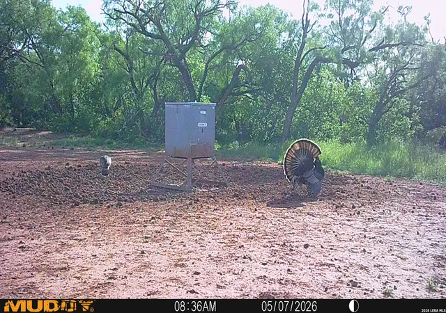 3rd image of Tbd County Road 174, Lampasas, TX 79541 | MLS# 1872842