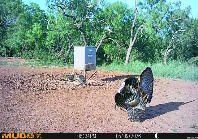 5th image of Tbd County Road 174, Lampasas, TX 79541 | MLS# 1872842