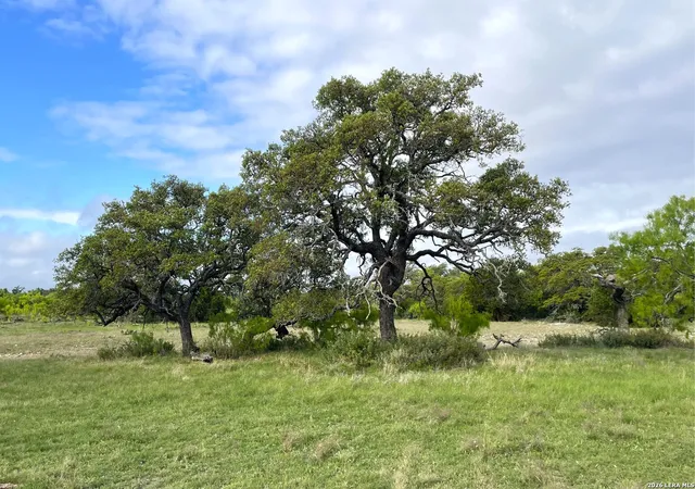 Homes for sale in Menard, TX | 324 324 Quail Trail, Menard, Texas, 76859 324 Quail Tr, Menard, TX 76848 | MLS# 1873475