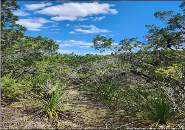 Photo 1 of Land for sale at 268 Scenic Hills, Canyon Lake, TX 78133 | MLS# 1873988 | Listing updated on 2026-06-11
