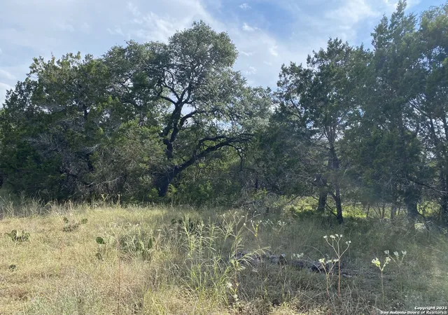 Photo 2 of Land for sale at 296 Recreation, Spring Branch, TX 78070 | MLS# 1874337 | Listing updated on 2025-12-30