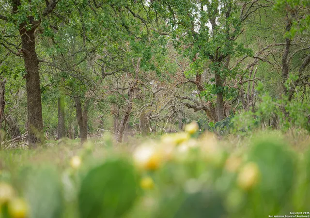 4th image of Tbd Rm 473, Boerne, TX 78006 | MLS# 1874862