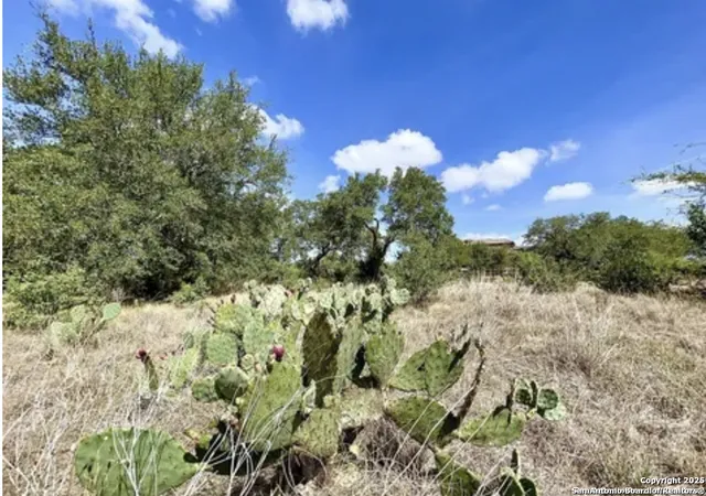 Photo 1 of Land for sale at 1245 Vintage Way, New Braunfels, TX 78132 | MLS# 1876083 | Listing updated on 2025-11-19