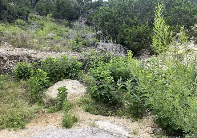 Photo 2 of Land for sale at 1609 Trail Pass, Canyon Lake, TX 78133 | MLS# 1876238 | Listing updated on 2026-04-09