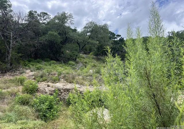 Photo 4 of Land for sale at 1609 Trail Pass, Canyon Lake, TX 78133 | MLS# 1876238 | Listing updated on 2026-04-09