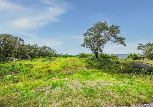 1st image of 350 County Road 2751, Mico, TX 78056 | MLS# 1876261