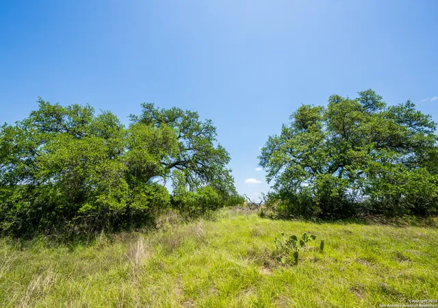 Photo 3 of Sale Pending at 1622-1662 Althaus Davis Rd, Fredericksburg, TX 78624 | MLS# 1876430 | Listing updated on 2025-10-03