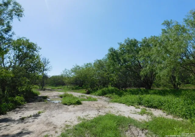 Photo 3 of Land for sale at 1590 Mccauley Rd, Floresville, TX 78114 | MLS# 1876495 | Listing updated on 2025-12-12