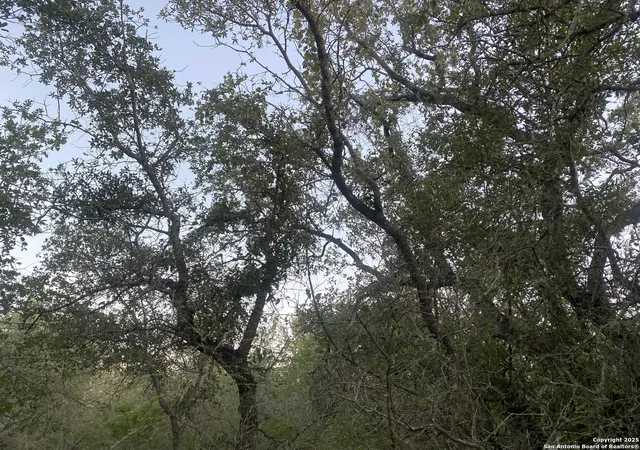Photo 3 of Land for sale at 1291 Camelot, San Antonio, TX 78264 | MLS# 1876649 | Listing updated on 2025-07-27
