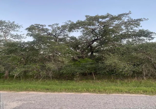 Photo 4 of Land for sale at 1291 Camelot, San Antonio, TX 78264 | MLS# 1876649 | Listing updated on 2025-07-27