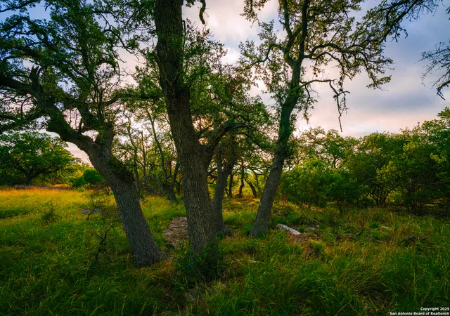 Photo 4 of Land for sale at 000 Running Buck, Spring Branch, TX 78070 | MLS# 1877123 | Listing updated on 2025-06-30