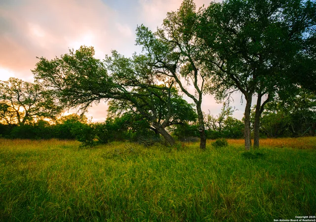 7th image of 000 Running Buck, Spring Branch, TX 78070 | MLS# 1877123
