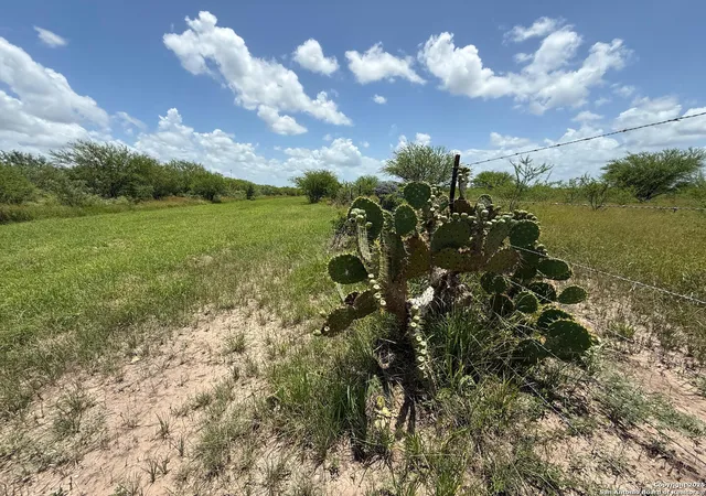 Homes for sale in Kenedy, TX | Tbd 12+/  Acres Cr 158, Kenedy, TX 78119 | MLS# 1877175