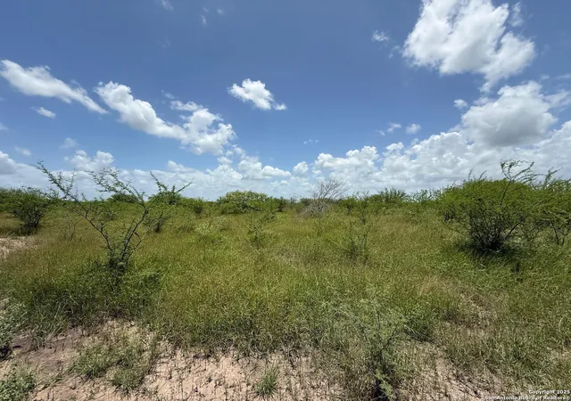 Homes for sale in Kenedy, TX | Tbd 12+/- Acres Cr 158, Kenedy, TX 78119 | MLS# 1877175