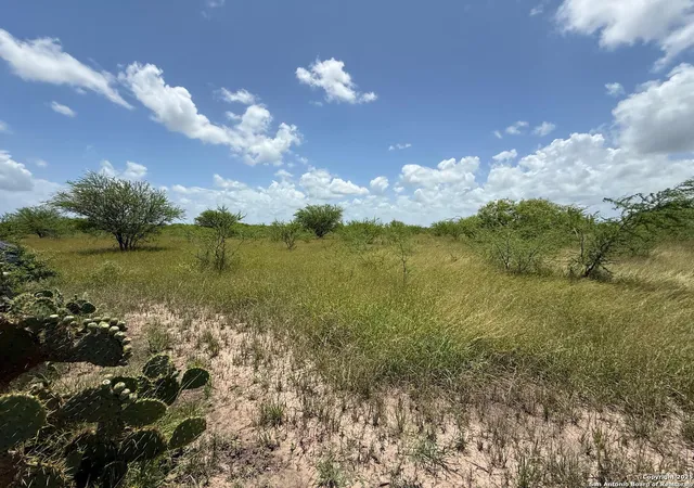 Homes for sale in Kenedy, TX | Tbd 12+/- Acres Cr 158, Kenedy, TX 78119 | MLS# 1877175