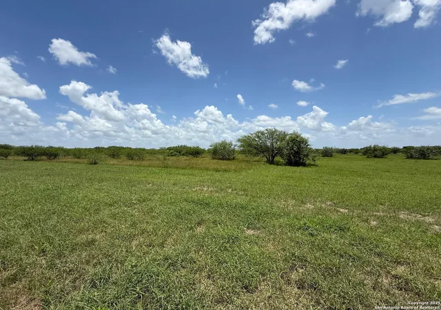 Homes for sale in Kenedy, TX | Tbd 12+/  Acres Cr 158, Kenedy, TX 78119 | MLS# 1877175