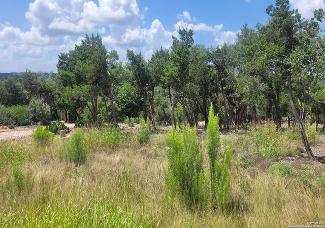 4th image of 1466 Chianti, New Braunfels, TX 78132 | MLS# 1877366