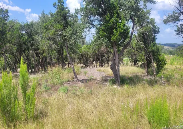 5th image of 1466 Chianti, New Braunfels, TX 78132 | MLS# 1877366