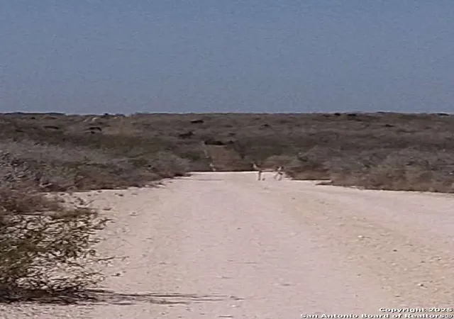 image of Der2 221 Double Eagle Ranch Ii, George West, TX 78022 | MLS# 1877808