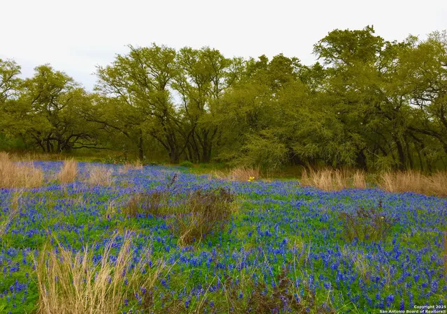 27th image of 001 Schuettig, Poteet, TX 78065 | MLS# 1877865