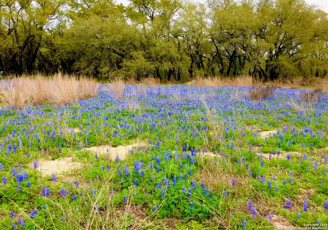 5th image of 001 Schuettig, Poteet, TX 78065 | MLS# 1877865