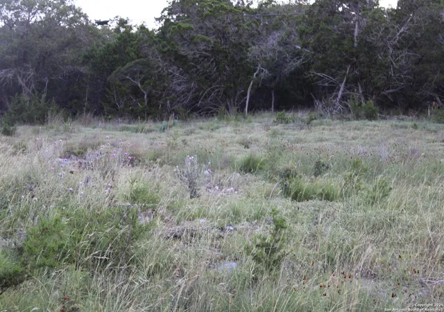 4th image of 2041 Fuller Dr, Canyon Lake, TX 78133 | MLS# 1878224