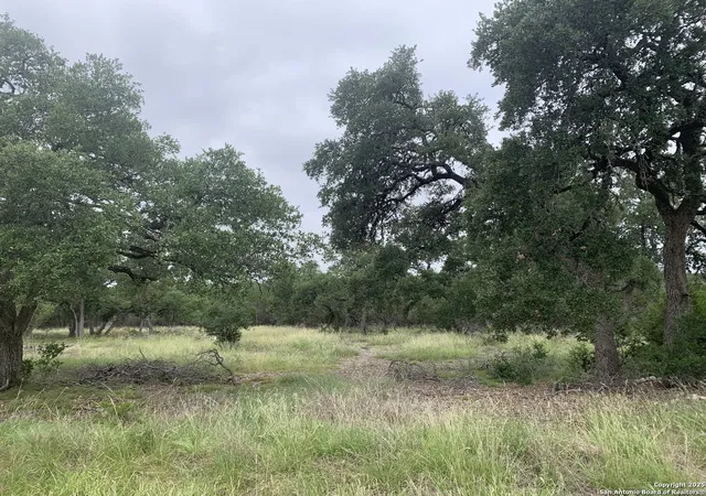 Photo 2 of Land for sale at 191 Indian Blanket, Spring Branch, TX 78070 | MLS# 1878365 | Listing updated on 2026-08-03