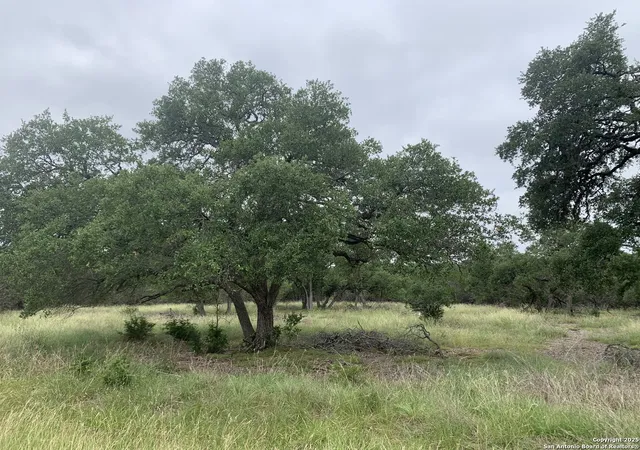 Photo 3 of Land for sale at 191 Indian Blanket, Spring Branch, TX 78070 | MLS# 1878365 | Listing updated on 2026-08-03