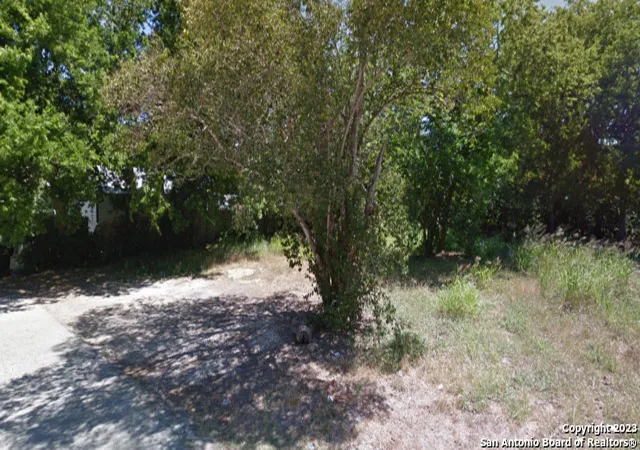 Homes for sale in Seguin, TX | 1007 Clark St, Seguin, TX 78155 | MLS# 1878452