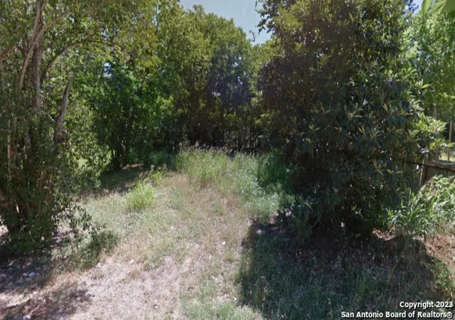Homes for sale in Seguin, TX | 1007 Clark St, Seguin, TX 78155 | MLS# 1878452
