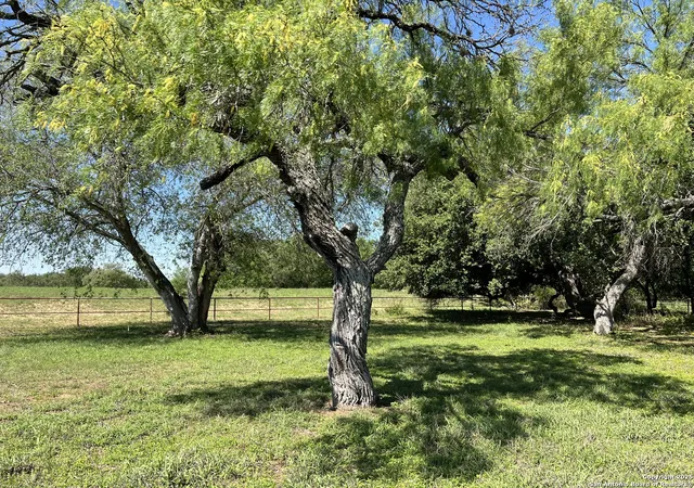 Photo 4 of Land for sale at 3894 S State Hwy 173, Devine, TX 78016 | MLS# 1878650 | Listing updated on 2026-08-04