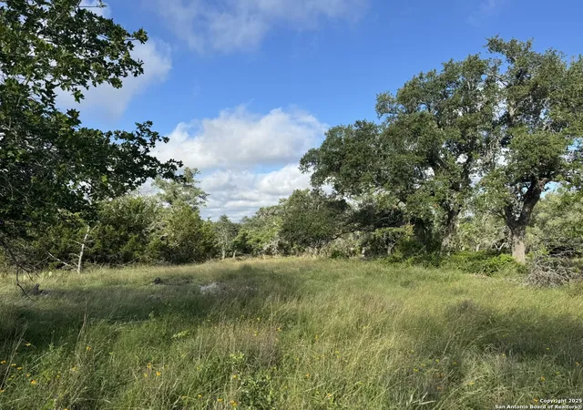 2nd image of 729 Skyline Dr, Blanco, TX 78606 | MLS# 1879039