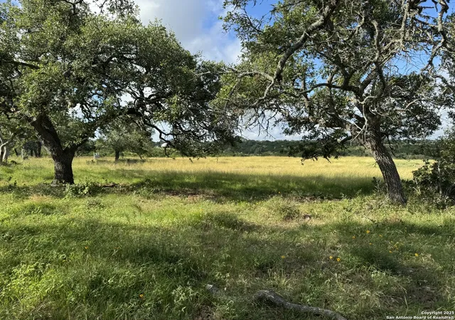 3rd image of 729 Skyline Dr, Blanco, TX 78606 | MLS# 1879039