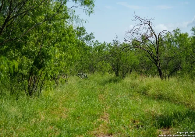 Photo 3 of Land for sale at 000 County Road 241, Three Rivers, TX 78071 | MLS# 1879194 | Listing updated on 2025-09-29