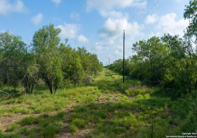 Photo 3 of Land for sale at 000 County Road 241, Three Rivers, TX 78071 | MLS# 1879194 | Listing updated on 2025-09-29