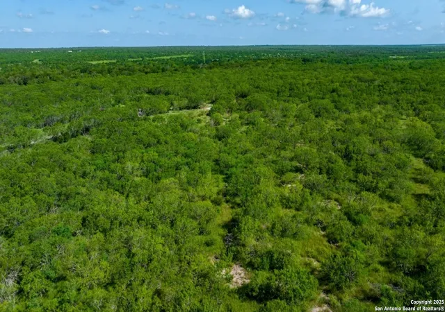 Photo 2 of Land for sale at 000 County Road 241, Three Rivers, TX 78071 | MLS# 1879194 | Listing updated on 2025-09-29
