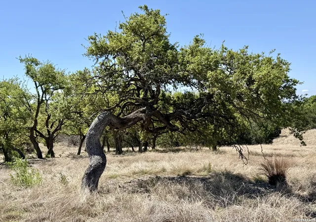 Homes for sale in Kerrville, TX | Tbd Mcvea Woods Rd, Kerrville, TX 78028 | MLS# 1879892