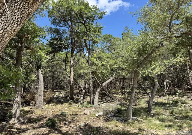 Photo 1 of Land for sale at 1431 Cedar Grove, Spring Branch, TX 78070 | MLS# 1879898 | Listing updated on 2025-10-17