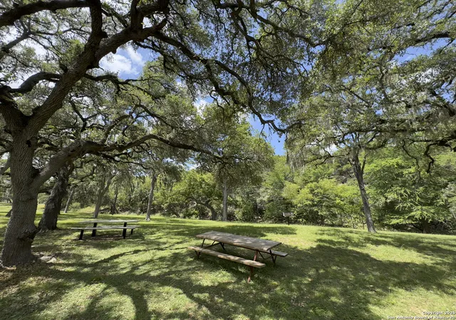 Photo 4 of Land for sale at 1431 Cedar Grove, Spring Branch, TX 78070 | MLS# 1879898 | Listing updated on 2025-10-17