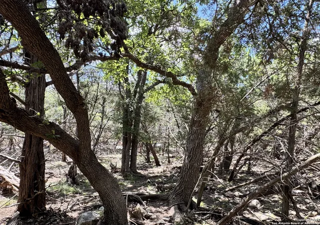 Photo 2 of Land for sale at 1431 Cedar Grove, Spring Branch, TX 78070 | MLS# 1879898 | Listing updated on 2025-10-17