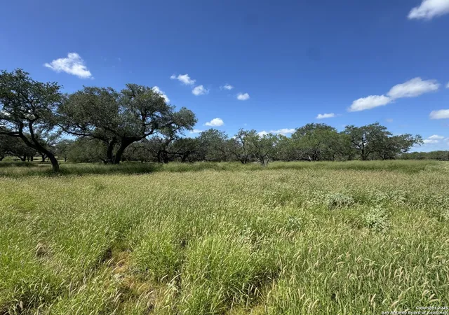 Photo 3 of Land for sale at 4405 St Hwy 173, Bigfoot, TX 78005 | MLS# 1879971 | Listing updated on 2026-01-10