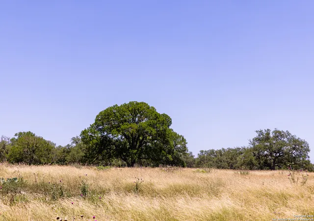 Photo 2 of Single family home for sale at 190 Jones, Kerrville, TX 78028 | MLS# 1881656 | Listing updated on 2025-07-17