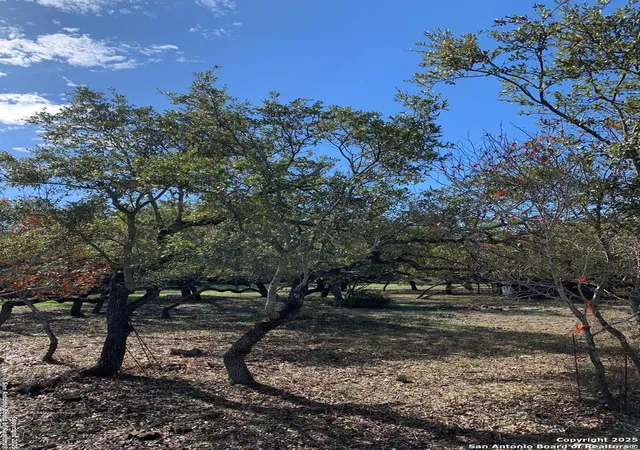 Photo 3 of Sale Pending at 0 Glenrose S, San Antonio, TX 78260 | MLS# 1881658 | Listing updated on 2025-08-15